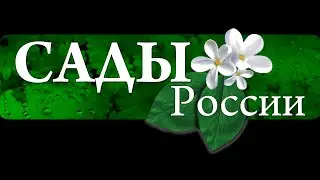 Распаковка посылки из Садов России