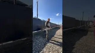 Только женщина решает за все в семье