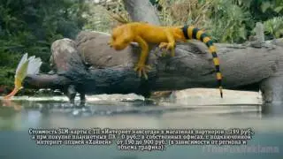 Аdvertising  Реклама Билайн 2015 «Интернет навсегда»   Ящерица