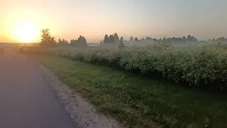 ПЕСНЯ ДРАКОНА.ИСЦЕЛЯЕТ ДУШУ.просто слушать.повторять за мной. очень сильно .для всех ..