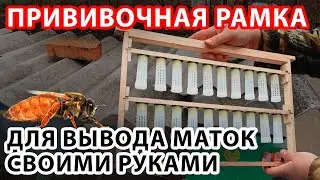 ПРИВИВОЧНАЯ РАМКА  ДЛЯ ВЫВОДА МАТОК СВОИМИ РУКАМИ