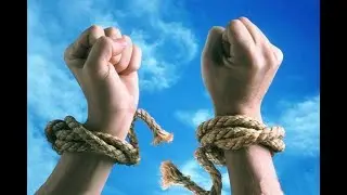 Волеизъявление человека.