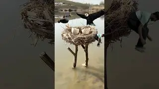 Creative egg 🪺💯 videography ideas with mobile 📱 