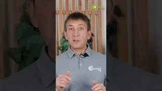 Искореняющая обработка сада зимой