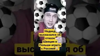 Павел Недвед высказался об отказе Швеции и Польши играть с Россией