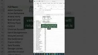 Excel IF Function