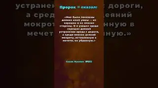 Хадис о чистоте, пути и мелких грехах. 