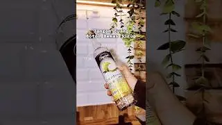 BOTOL BEKAS BISA JADI BARANG BERGUNA #shorts
