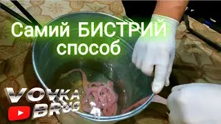 Як почистити 100м свинячих кишок для ковбаси за 30хв