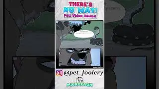 Brutus be Playin' with LIVES  |  Pixie and Brutus Comic Dub