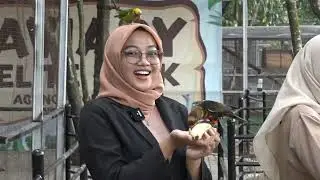 Mini Zoo di Serang!