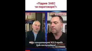 Арестович та Фейгін – про переговори та ядерний шантаж. Чи підірве Росія ЗАЕС? 