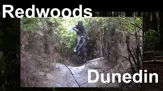 First Rides -  Redwoods Dunedin Bike Edit