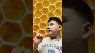 Bees when he eats the honeycomb: (credit to @howsyourdayhoney)