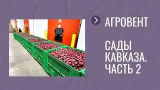 Агровент. Сады Кавказа. Часть 2