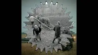 Назад в деревню /Деревни/Песни про деревню  