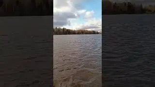 Видео не передаëт силу шквального ветра) 