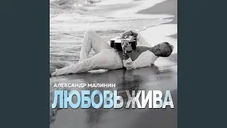 Шоу