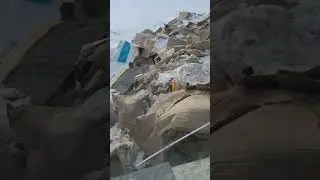 Состояние приюта для животных! Крайний Север! Якутия