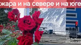 Крым/Ялта                                           Север/Норильск  ЖАРА