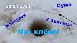 Малкурья, Сума, Зеленец, Малкурья. 20.04.2024. Зимняя, ещё, рыбалка. Не клюёт!