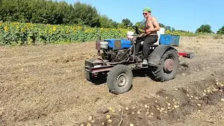 Копаем картошку самодельным трактором!
