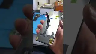 Memories & Honor 20 Pro