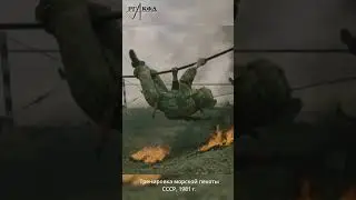 Боевая подготовка морской пехоты СССР, 1981 год