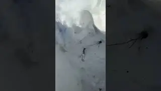 С началом сезона!!!