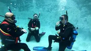 The Scuba Skills Review Circuit