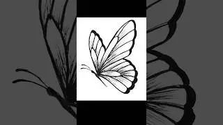 Butterfly drawing #ytshorts #trendingshorts #drawing