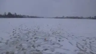 Мой Первый лед 2017-2018