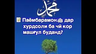 📝 Паёмбарамонﷺ дар хурдсоли ба чӣ кор машғул буданд?