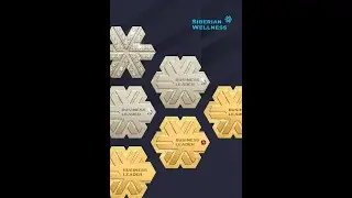 Маркетинг план Siberian WeSiberian Wellness Сибирское Здоровье Быстрые Fast и УмныеSmart деньги в Се