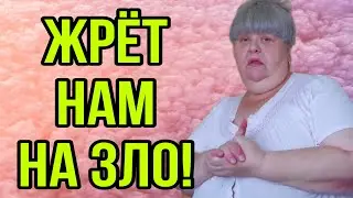 ЖРЁТ НА ЗЛО НАМ! ЮЛЯ СТАР. ОБЗОР.