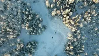 Квадрокоптер Dji Spark. Тайга. Сибирь. Кемерово