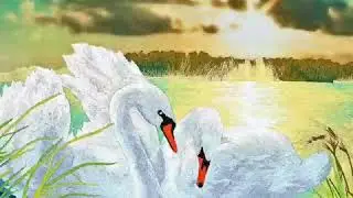 Аркадий Кобяков (Любовьмоя, как лебедь🦢🦢 белая )