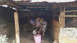 Fresh morning routine of an african village housewife.
