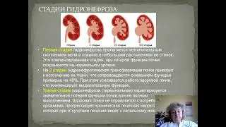 Симченко Н.И. Аномалии почек и мочевыводящих путей. Аномалии мужских половых органов.