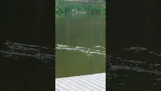 24 июня 2023 г.