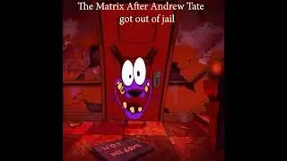 The Cowardly Matrix after Andrew Tate got out of prison