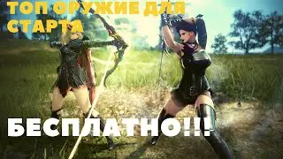 Black Desert Online PS4 ➤ ТОП ПУХА ДЛЯ СТАРТА БЕСПЛАТНО!!!