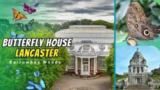 Butterfly House at Lancaster
