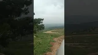 טיולי גיפים וגיפאים מגיעים לתצפיות גבעת המורה בגשם זלעפות 2024- גיפון-נעים