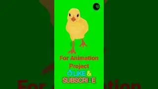 How to create Chicken 🐔 walking in Green Screen 