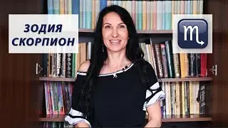 Зодия Скорпион - Какво трябва да знаем? / Астрология за начинаещи