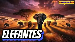 🐘 Elephants: Nature's Wise Giants