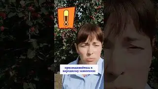Халатность, разгильдяйство, диверсия или ГОСИЗМЕНА??