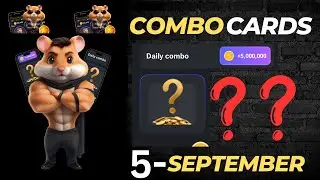Find Today’s Combo Cards in Hamster Kombat | September 5 Guide