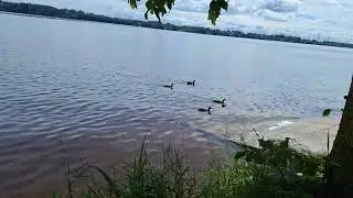 24 июня 2024 г.